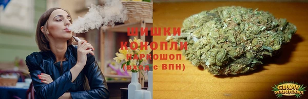 ГАЛЛЮЦИНОГЕННЫЕ ГРИБЫ Волосово