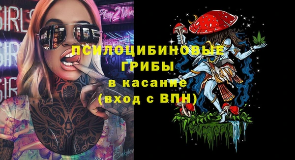 ГАЛЛЮЦИНОГЕННЫЕ ГРИБЫ Волосово