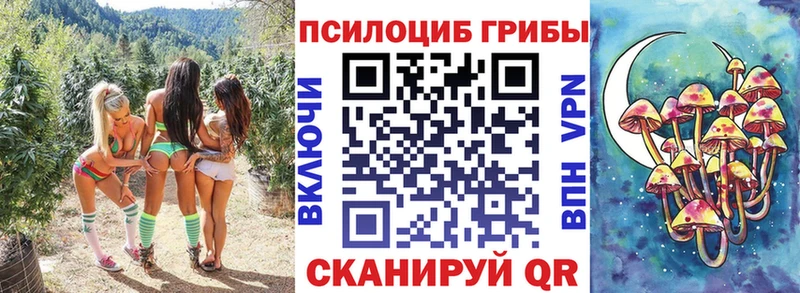 Псилоцибиновые грибы GOLDEN TEACHER  Балашиха 